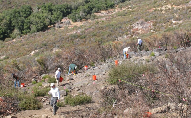 ER_Cobra_IMG_0061-min people in rocky brush field picking up debris