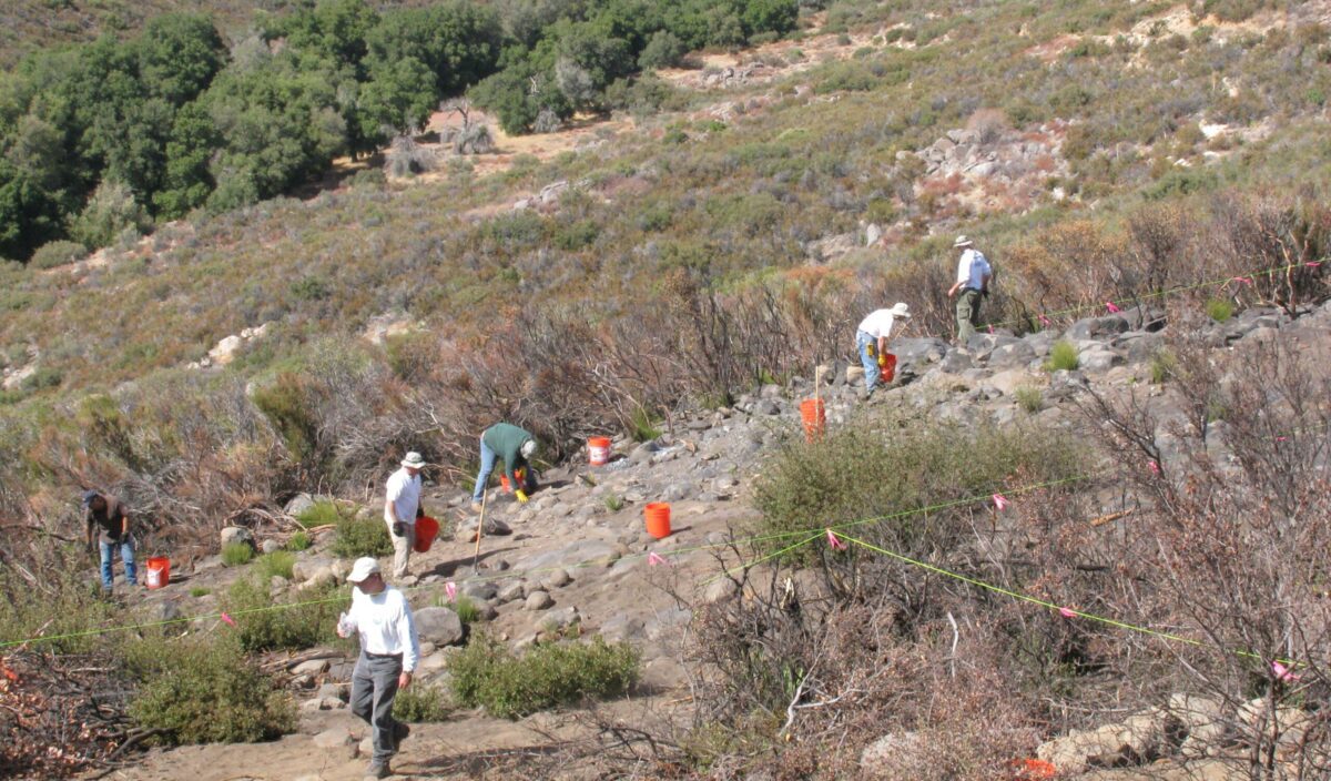 ER_Cobra_IMG_0061 people picking up debris in brush field area