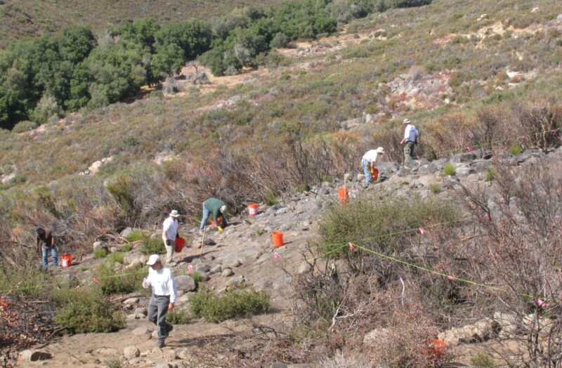 people picking up debris in brush field area