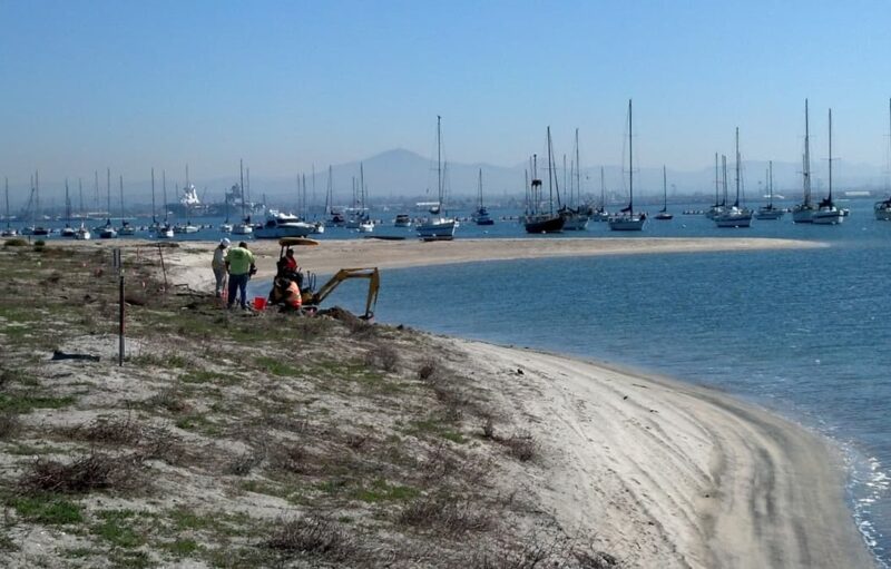Picture29-min people working by the beach near bay with sailboats