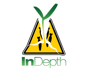 in-depth InDepth