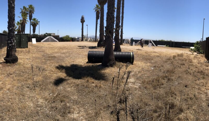 MRP Site 14 large yard area with palm trees