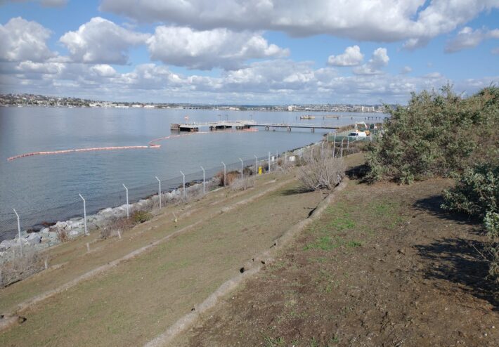 sloped grassy area by the water